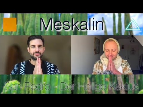 San Pedro - Der Heilige Kaktus - Meskalin (FreeSpirit Podcast mit Peter & Siddhi)