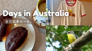 オーストラリア暮らしVlog🇦🇺内向的な私の海外生活をとりもどす週末｜おやつ,購入品,手帳