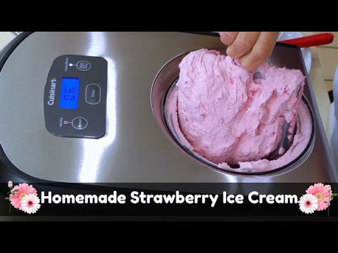 Cuisinart Non Dairy Ice Cream Recipe : Top Picked from our Experts