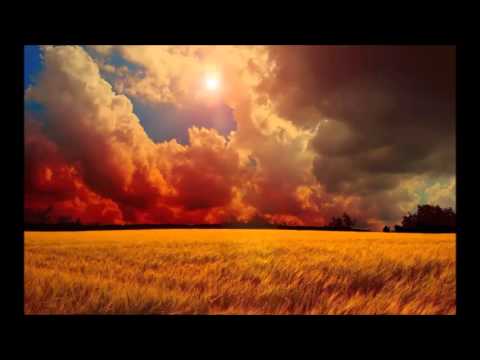 Ryan Taubert - Absolution