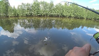 Пермяковское озеро нижний новгород рыбалка