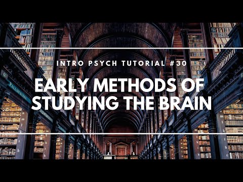 Neuron Structure Parts of a Neuron Intro Psych Tutorial 23