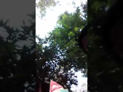 The live performance on Byapok Fan