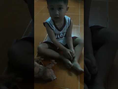 Cùng bom xem khủng long bạo chúa đẻ trứng nhé.