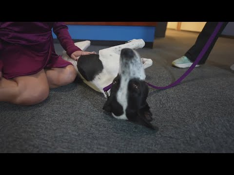 Sammy's Stars: Nov. 13, 2025 - YouTube