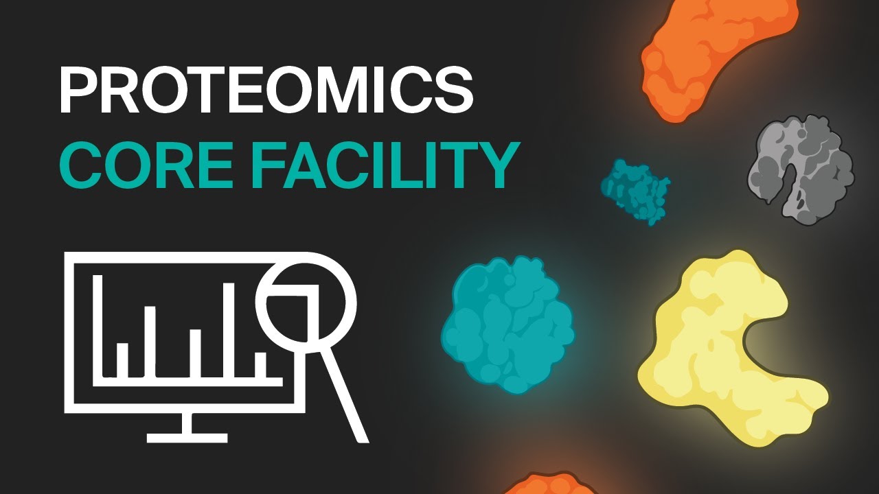 Unlocking the Proteome: a glimpse into Mass Spectrometry-Based Proteomics