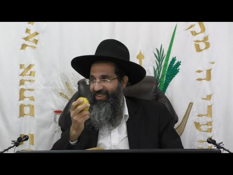 מדיני סוכה וארבעת המינים 🌴 הרב שי עובד | שלישי - חג סוכות - תשפד