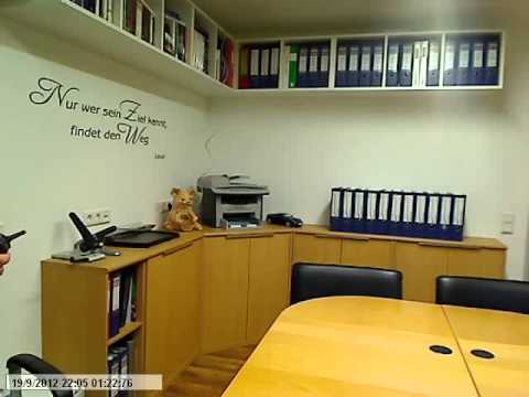 T-Rex 100X von Align -- Kurzfilm