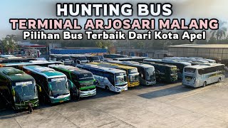 Download lagu Dozens of Premium Buses Start from This Terminal‼️Morning Hunting at Arjosari Terminal🔥What Buses... mp3