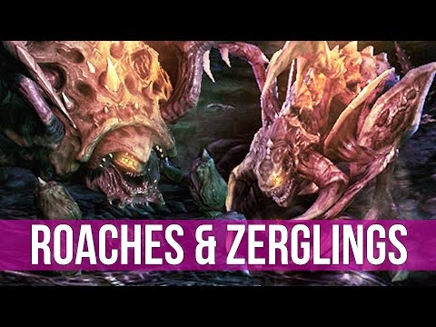 StarCraft 2: Legacy of the Void - Roaches & Zerglings! (Zerg vs Zerg)