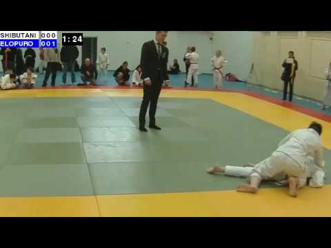Hiiden Shiai 2016: P13-50: SHIBUTANI - ELOPURO