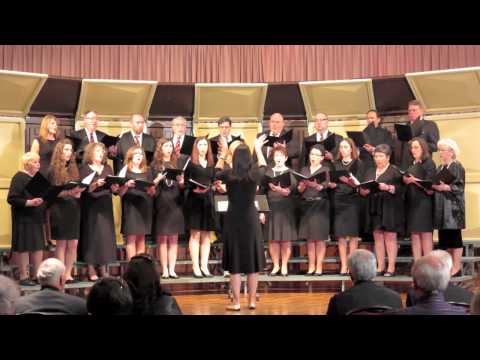 The SSS Branko Radichevich Choral Festival, Lansing, Illinois, 2013.