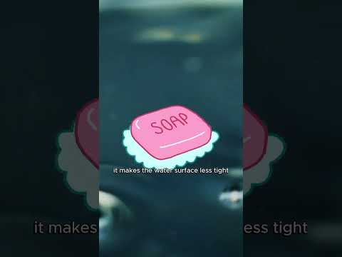 Why Are Bubbles Always Round?