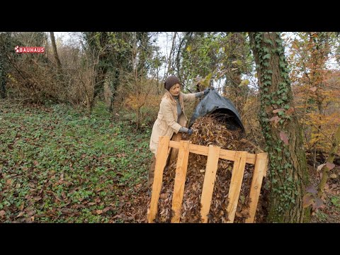 Škola vrtlarstva - vrtlarski radovi u studenom