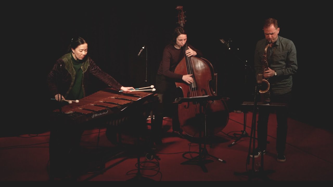 Cloud & Stone YOUTUBE
Taiko Saito – Vibraphon Alexander Beierbach – Tenorsaxophon Maike Hilbig – Bass