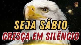 ⚠️PARE DE SE EXPLICAR… Foque em Você e Cresça em Silêncio🦅