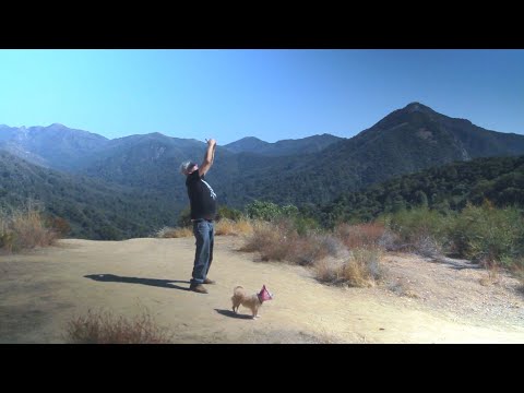 CURSE OF THE MAN WHO SEES UFOS Trailer