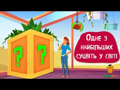 Дива природи. Явища навколо нас. Одне з найбільших суцвіть у світі, про яке ви не знали
