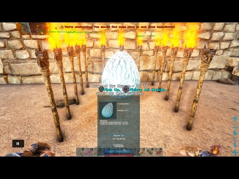 ARK: Survival Evolved Day 46 on Crystal Isles, Hatching a Tropical Crystal Wyvern Egg.