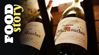 Thumbnail del capítulo