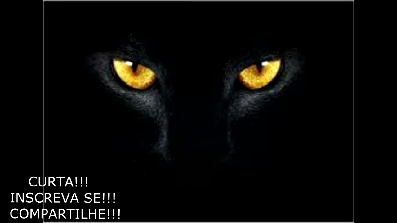 RECEBA SUAS DIVIDAS COM GATO PRETO DE SÃO CIPRIANO!!!