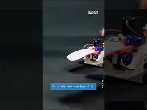 Des chercheurs développent un module de protection inspiré de l'armadillo pour la robotique souple