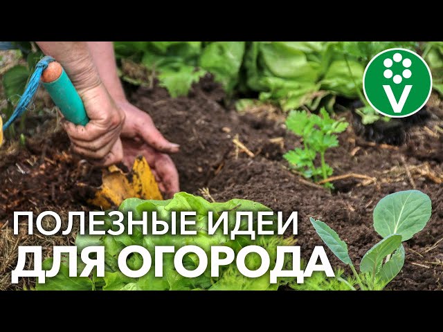 ПЛАНИРУЕМ ОГОРОД ПО-НОВОМУ! Как получить больше урожая с меньшей площади