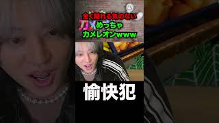 鬼ごっこやん #ブリとカワウソ #ブリカワ