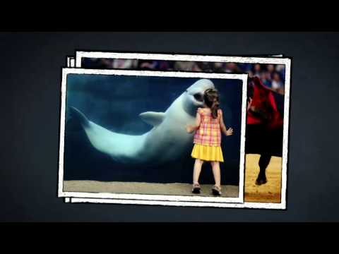 Nyheter - MALMÖ-  TT Nyhetsbyrån