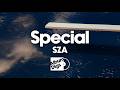 SZA Special Visualizer