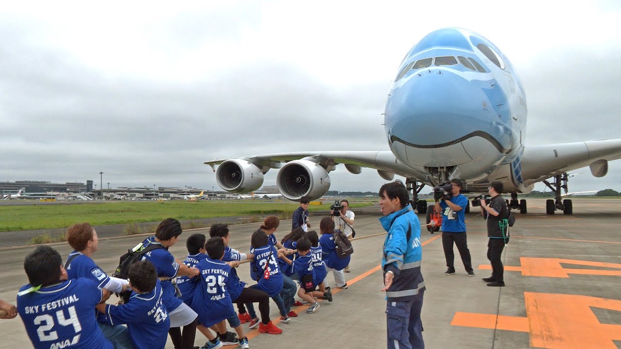 成田空港で「フライングホヌ」と綱引き（2024年10月6日）