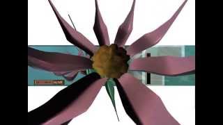Haujobb - Channel 5 Sequence (2002) [60fps]