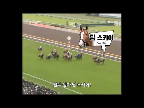 2008 NHK 마일 컵 - 딥 스카이 / 시간의 지배자