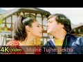 Maine Tujhe Dekha 4K Video Song | Akhiyon Se Goli Maare | Govinda, Raveena Tandon, Alka Yagnik HD