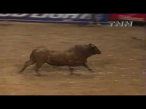 Donald Owens vs Rojo - 99 PBR Finals (85.5 pts)