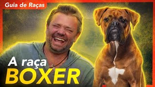 Miniatura do vídeo