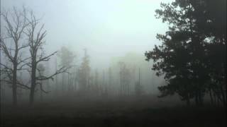 Maggie Björklund - Fro Fro Heart