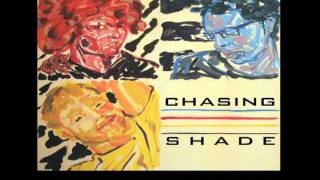 Chasing Shade - Birds