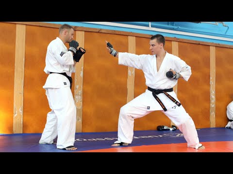 Обманка через лоу-кик. Зарабатываем оценку по новым правилам IKO