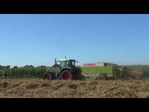 Landb. Everaert G - Assenede - stro persen - Fendt Favorit 824 en Claas Quadrant 1200