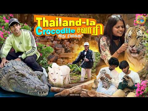 Singam, Puli, Crocodile…Ellathayum Face Pannitom 😳🔥 Unbelievable Experience!  EP-3 | Thailand Series