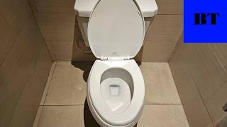 2012 Niagara Flapperless EcoLogic Toilets on 1.6 Tanks - Divi Aruba Resort (Oranjestad, Aruba)