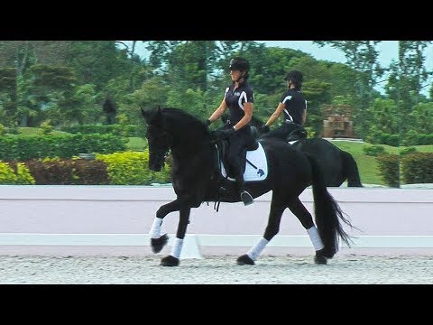 Tabitha ISF at Iron Spring Farm, Wellington, FL 2018