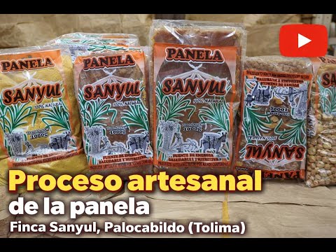 De la caña a la tradición | así se produce la panela en Palocabildo, Tolima