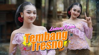 Download lagu Lintang Kairo - Tembang Tresno | Padange suryo nanging peteng ning mripatku mp3