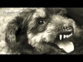 Converge - Last Light (lyrics on screen)