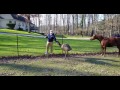 Gilbert Farm