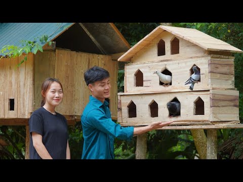 Forest life, With girlfriend, Make a wooden house for Pigeon