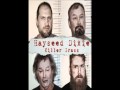 Hayseed Dixie - Eine Kleine Trinkmusic