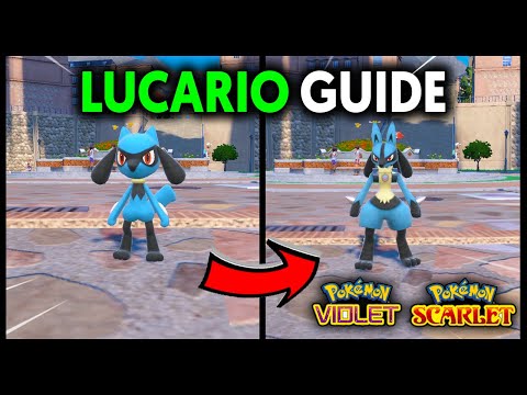 HOW TO EASILY EVOLVE RIOLU INTO LUCARIO ON POKEMON SCARLET AND VIOLET